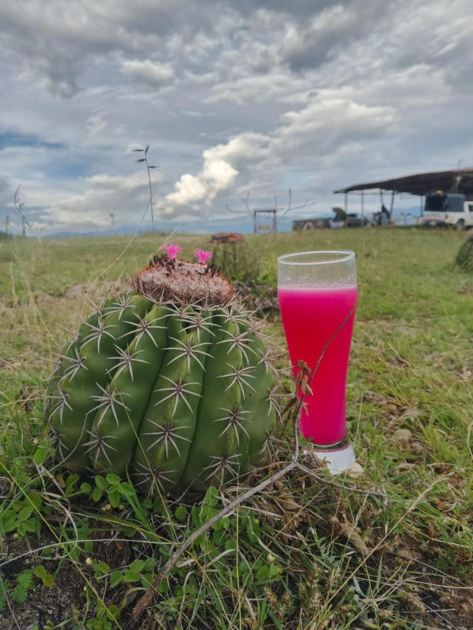 Hotel Flor De Liz Bereshit Bara Villavieja Luaran gambar